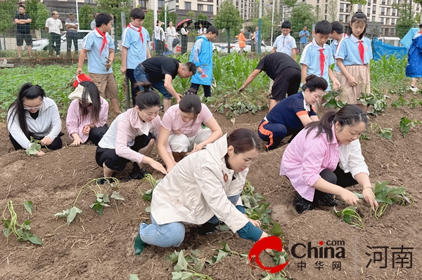 以劳育人“薯”与“泥”的快乐—驻马店实验小学开展劳动教育实践活动