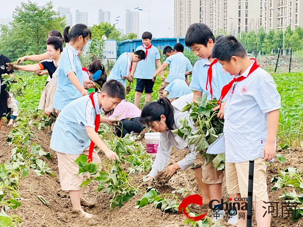 以勞育人“薯”與“泥”的快樂(lè)—駐馬店實(shí)驗(yàn)小學(xué)開展勞動(dòng)教育實(shí)踐活動(dòng)