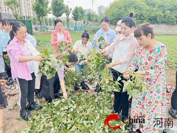 以劳育人“薯”与“泥”的快乐—驻马店实验小学开展劳动教育实践活动