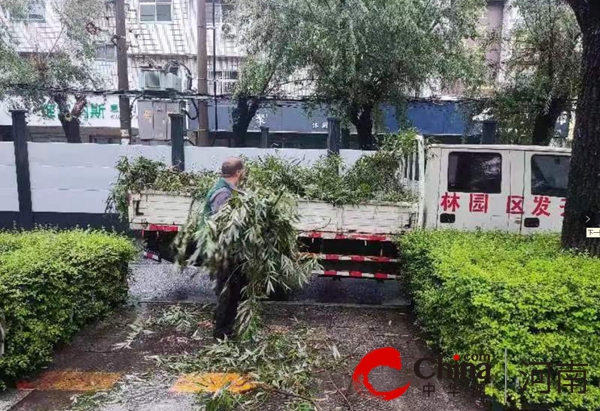 驻马店开发区城市管理局：迎“汛”而上 撑起防汛“安全伞”