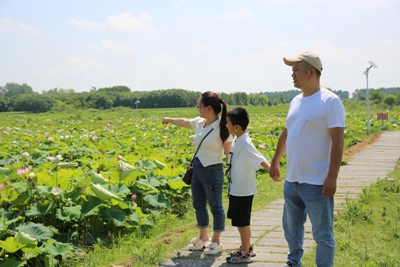 ​信阳潢川：“荷”你相约，美在当“夏”！