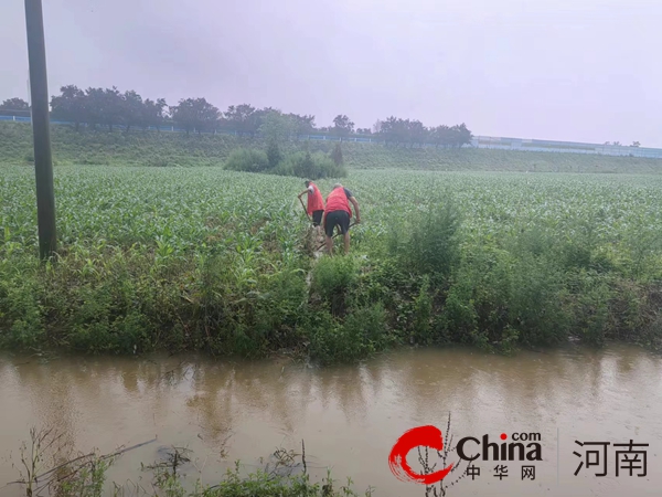 風(fēng)雨中的溫暖力量 —駐馬店市驛城區(qū)古城街道朱樓寨防汛 工作紀(jì)實(shí)