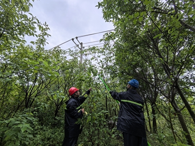 ?國網潢川縣供電公司：暴雨特巡保供電