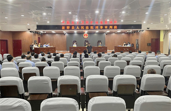 新野县法院举办2024年度第十一次法院公众开放日活动