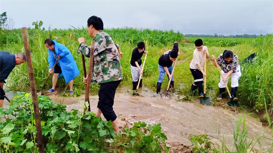 河南新野：迅速行动战涝情，多措并举保民生