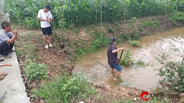 ​西平县焦庄乡：“汛”速行动排内涝 筑牢防汛“安全堤”