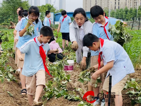 践行德育引领 夯实立德树人——驻马店实验小学坚持守正创新强化德育建设侧记