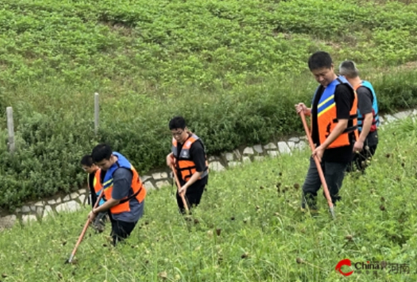 ​风雨中的青春守护者——西平县出山镇王连帅筑起防汛“青春堤坝”