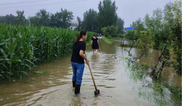 邓州市张楼乡：防汛排涝保民生