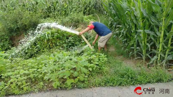 ​西平县专探乡召开防汛排涝暨田间管理工作部署会