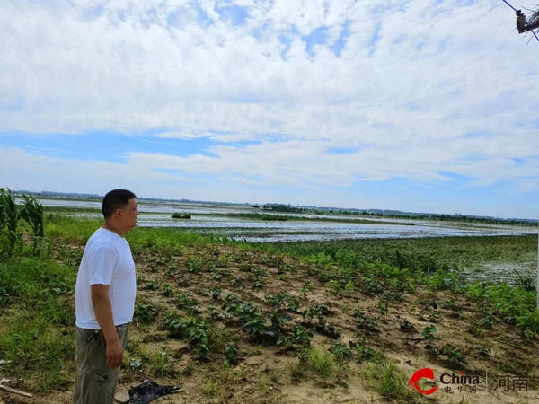 ​西平县柏苑街道：加强撂荒土地整治 扛稳粮食安全政治责任