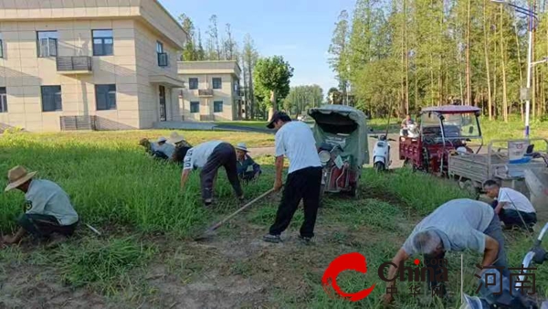 确山县新安店镇：多措并举 扎实开展人居环境集中整治行动