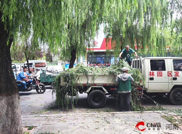 驻马店开发区城市管理局：为民服务除隐患 快速处置保畅通