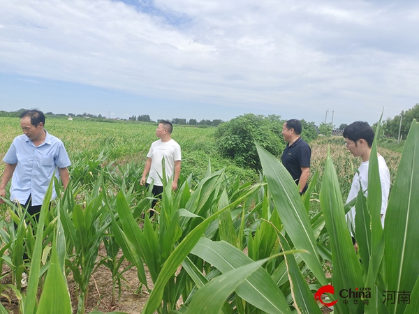 ​西平县应急管理局深入受灾乡镇持续开展灾情核查工作