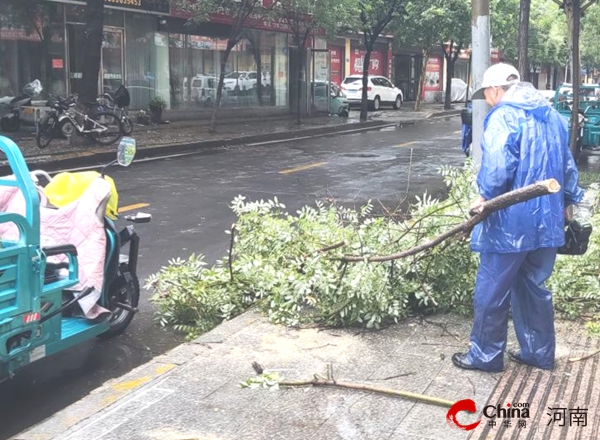 驻马店开发区城市管理局园林部门及时处置强降雨受损树木-当前要闻