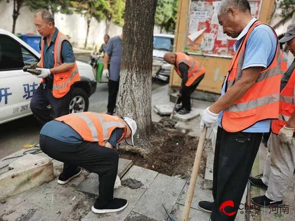 驻马店开发区城市管理局：集中修复树穴凸起 保障行路安全