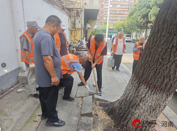 駐馬店開發區城市管理局：集中修復樹穴凸起 保障行路安全