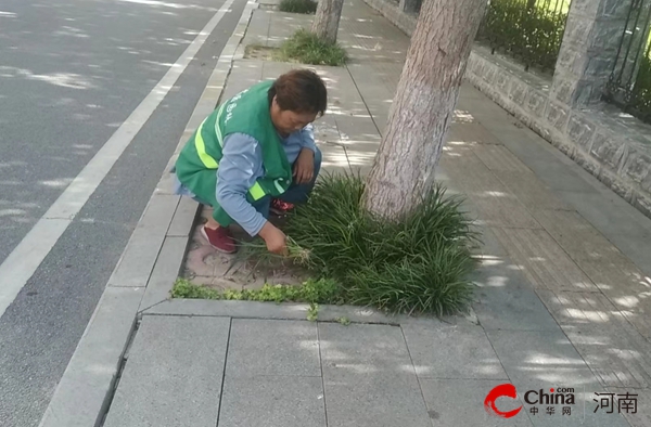 驻马店开发区城市管理局：精益求“净” 秋季绿化除草忙