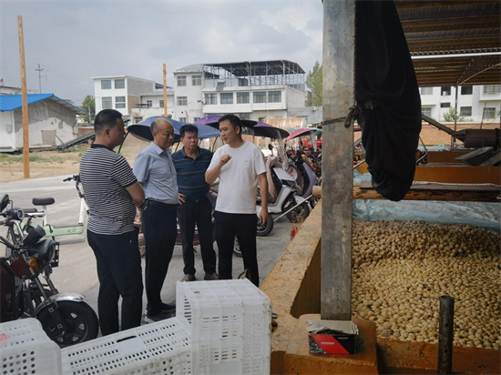 内乡县赤眉镇：抓好项目建设 夯实乡村振兴基础-世界即时