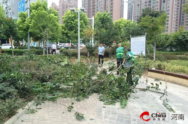 驻马店开发区城市管理局：及时清理树木断枝 保障市民游园安全