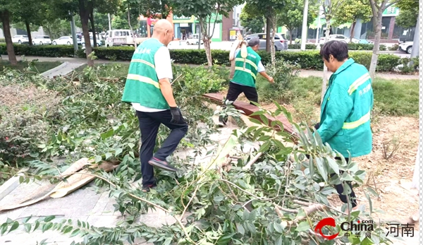 驻马店开发区城市管理局：及时清理树木断枝 保障市民游园安全