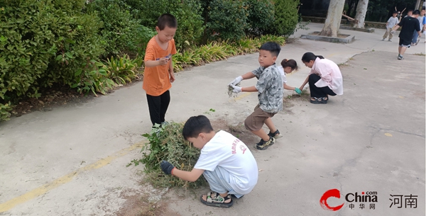 ​西平县焦庄毛寨小学开展劳动教育快乐成长活动