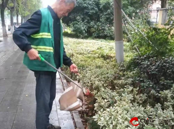 驻马店开发区城市管理局：清断枝 排隐患 积极应对大风天气