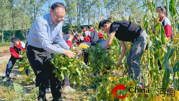 体验丰收快乐  收获成长果实－－驻马店实验小学开展劳动实践活动