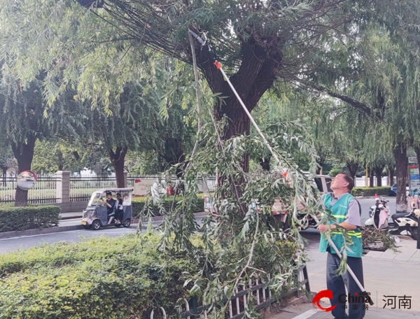 绿化景观迎国庆 驻马店开发区城市管理局扎实开展园林绿化秋季管养工作