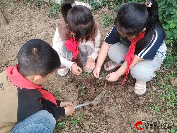 ​西平县重渠乡李庄小学：学习劳动我最棒