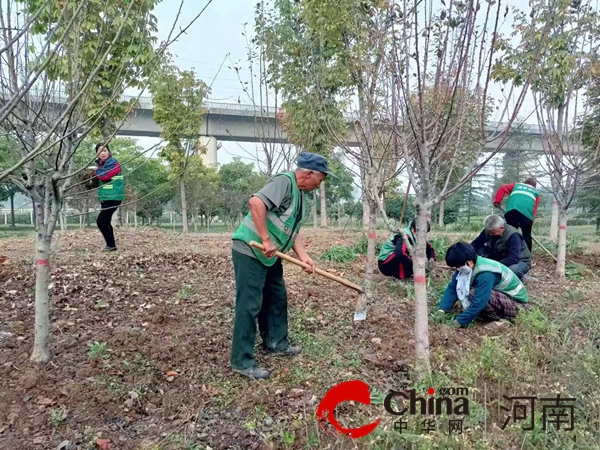 确山县住建局:秋季修剪养护忙 绿化城市新气象