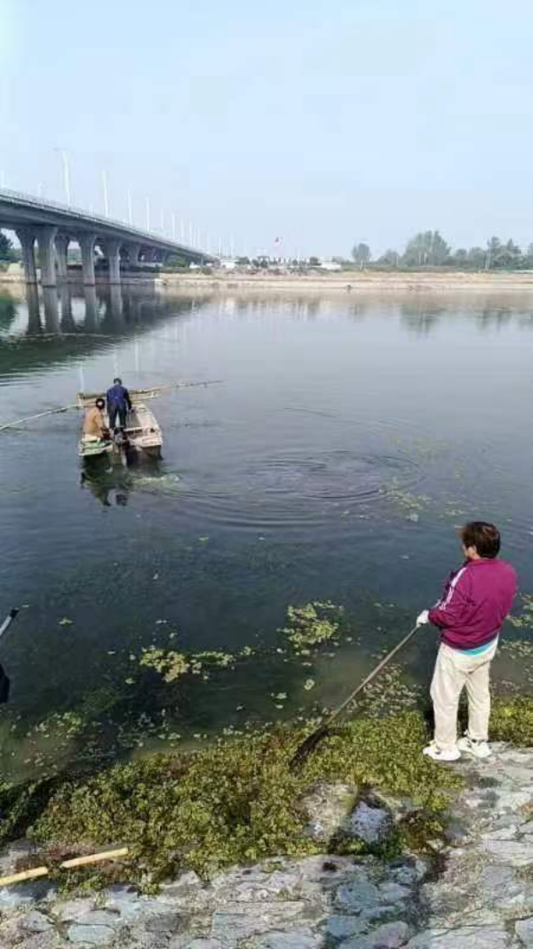 邓州市水资源综合利用服务中心：清理河道卫生   改善卫生环境-全球通讯