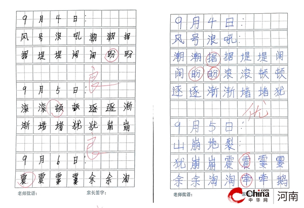 ​常规检查促提升 落实“双减”保质量——西平县柏苑王店小学开展作业教案检查活动