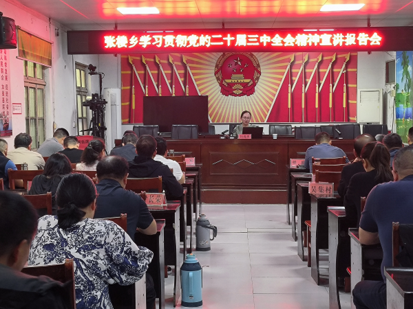 邓州市张楼乡召开学习贯彻党的二十届三中全会精神宣讲报告会 