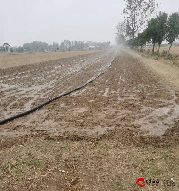 ​西平县师灵镇积极做好抗旱种麦浇麦工作