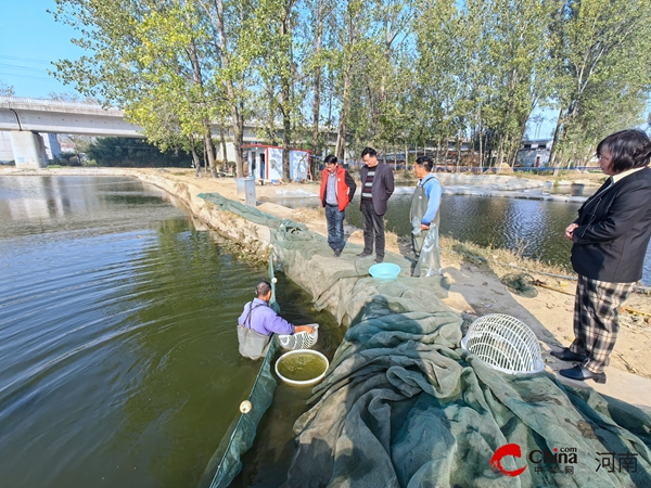 ​河南省大宗淡水鱼产业技术体系岗位专家赴西平县开展水产种业调研技术服务