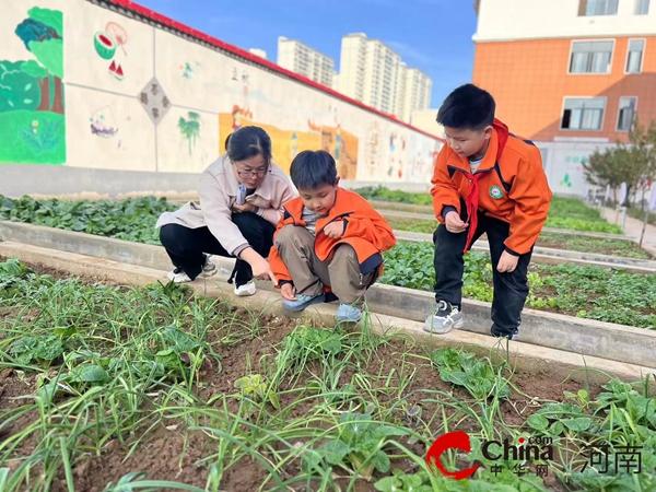 驻马店市第四小学开展2024年秋季“走进劳动基地 认识多彩蔬菜”实践劳动活动