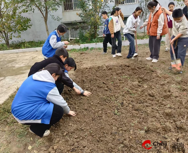 ​小种子 大能量——西平县重渠李庄小学开展蔬菜种植实践活动