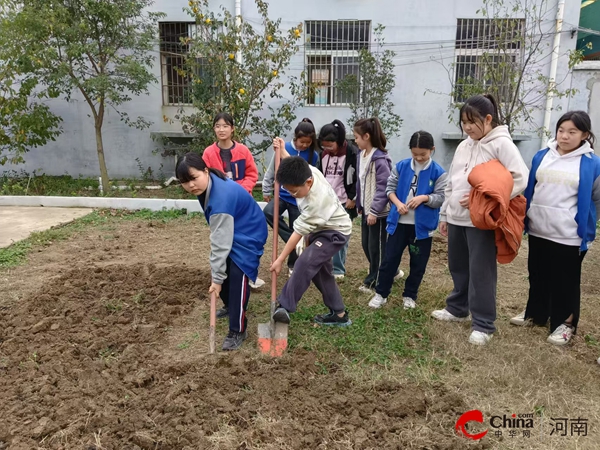 ​小种子 大能量——西平县重渠李庄小学开展蔬菜种植实践活动