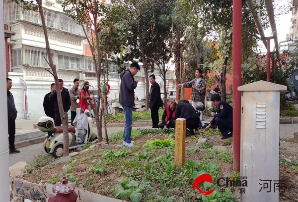 駐馬店市驛城區(qū)老街街道：整治“毀綠種菜” 點亮“共建共享星”