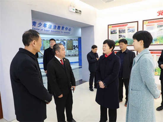 南阳市人大常委会副主任王兵带队到新野县法院指导“国家宪法日”宣传活动