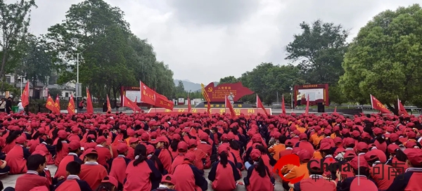 红色研学重温革命岁月 茶山体验感受劳动乐趣——驻马店市第二十一小学“红色教育+社会实践”纪实