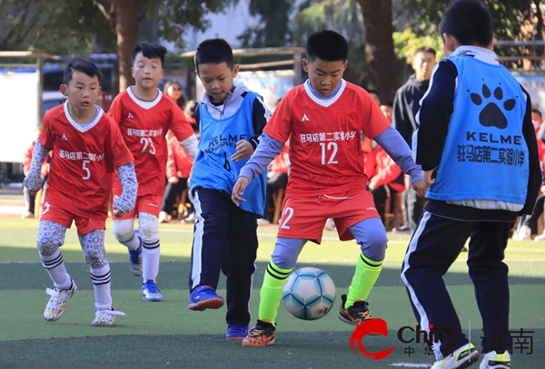 挥汗绿茵场  追逐足球梦：驻马店第二实验小学“校长杯”校园足球赛圆满落幕