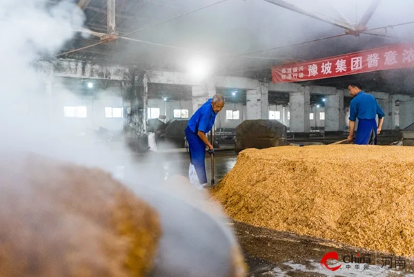 備戰雙節 贏在市場——豫坡酒業打造10萬箱大單品 讓老基口糧酒走進千商萬戶