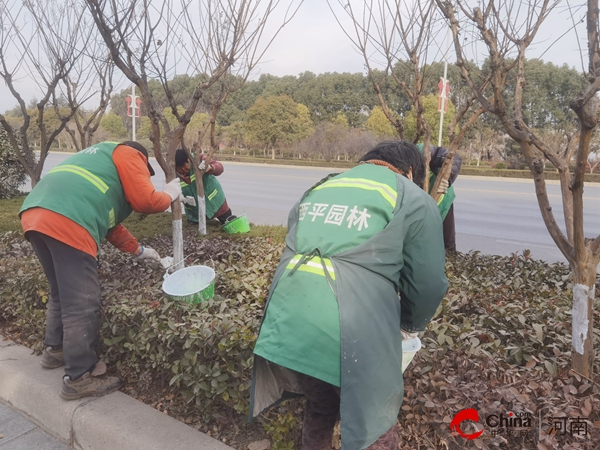 ?西平縣園林中心：寒冬到來季 苗木穿“新衣”