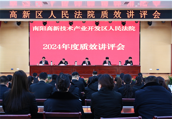 南阳高新区法院召开2024年度质效讲评会