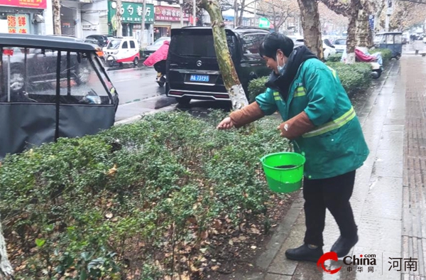 驻马店开发区城市管理局：抢抓降雨有利时机为绿化施肥越冬