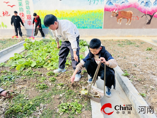 “春之劳作 育见美好”——驻马店市第四小学2025年春季开学劳动教育实践活动