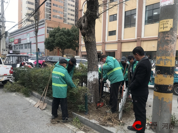 驻马店开发区城市管理局：清除老化柳树 为民解忧保安全