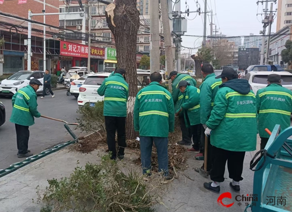 驻马店开发区城市管理局：清除老化柳树 为民解忧保安全